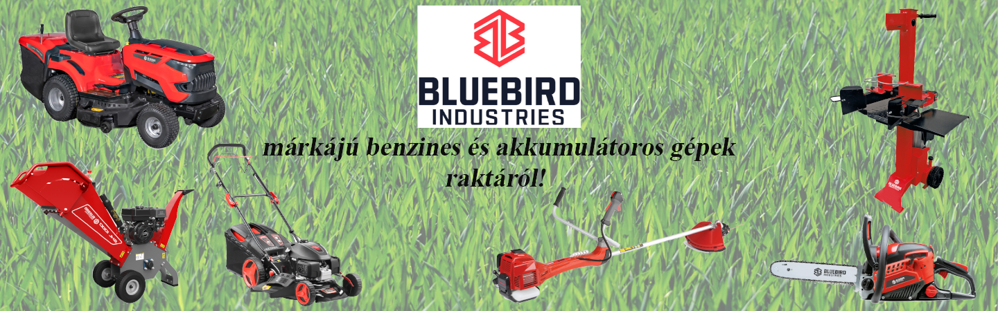 bluebirdslidek